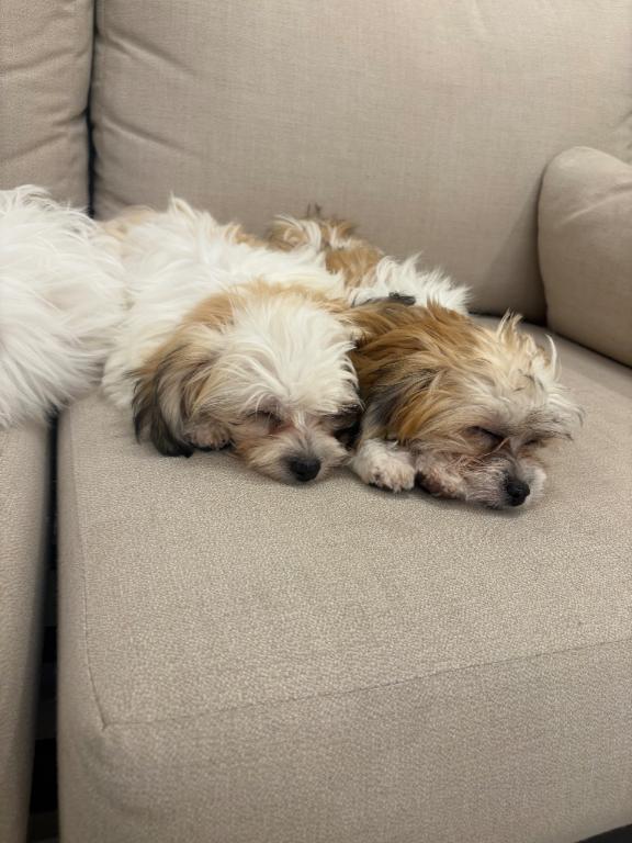 コスプレについて♡