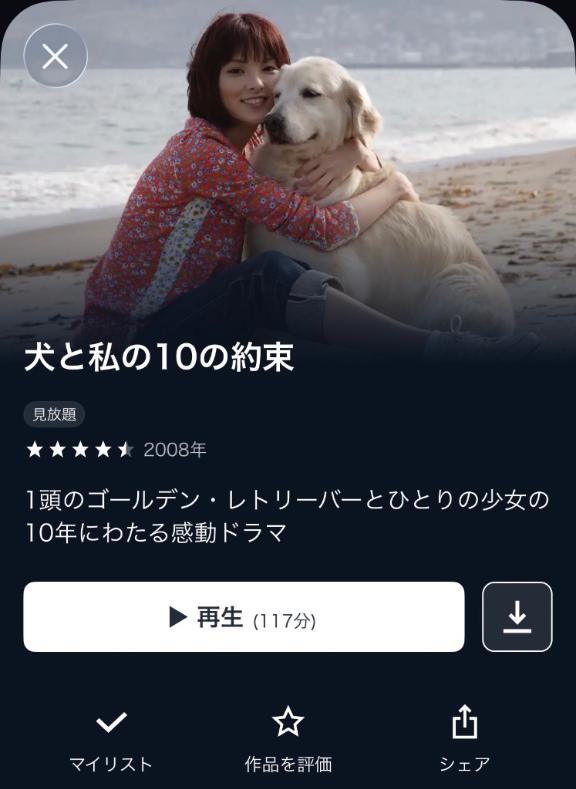 知ってる人いるかな🫡