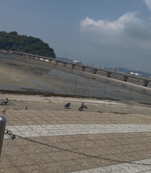 潮干狩りえぐ