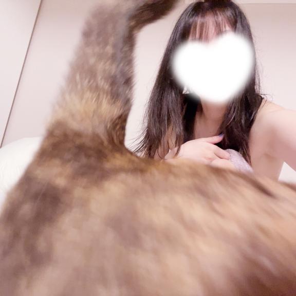 にゃにゃにゃにゃ