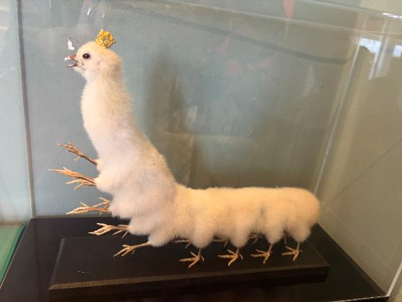 菜乃/なの　centu鳥？虫？