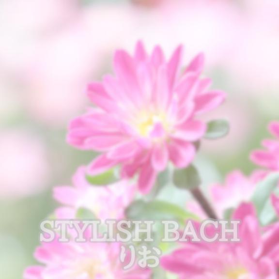 信じる心💐🤍