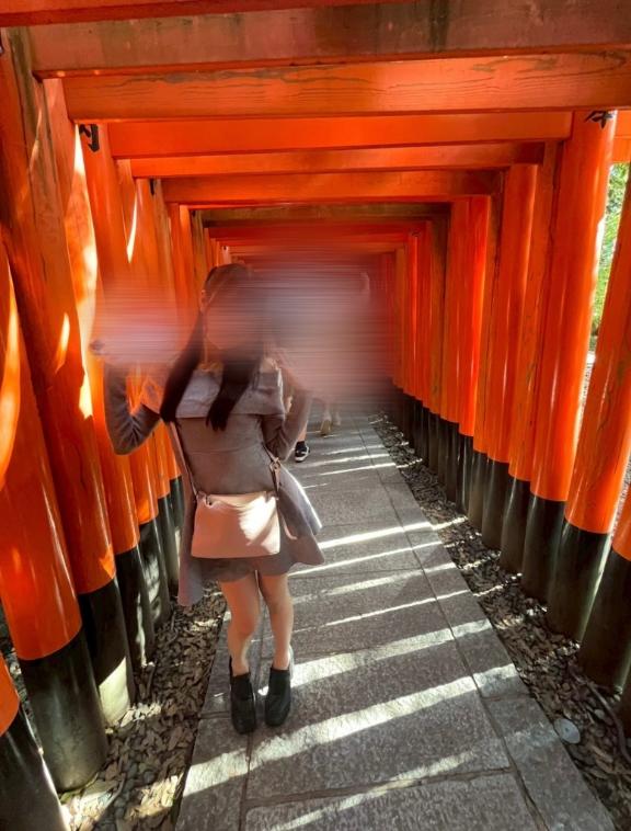 ⛩⛩⛩⛩