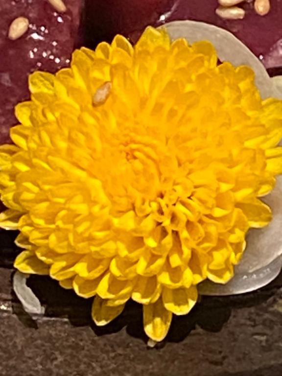 🌼