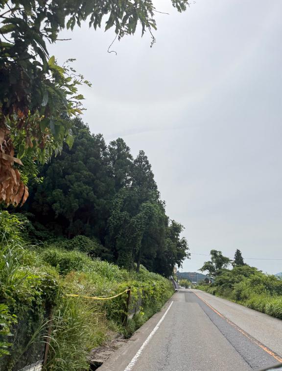 最高！最高！