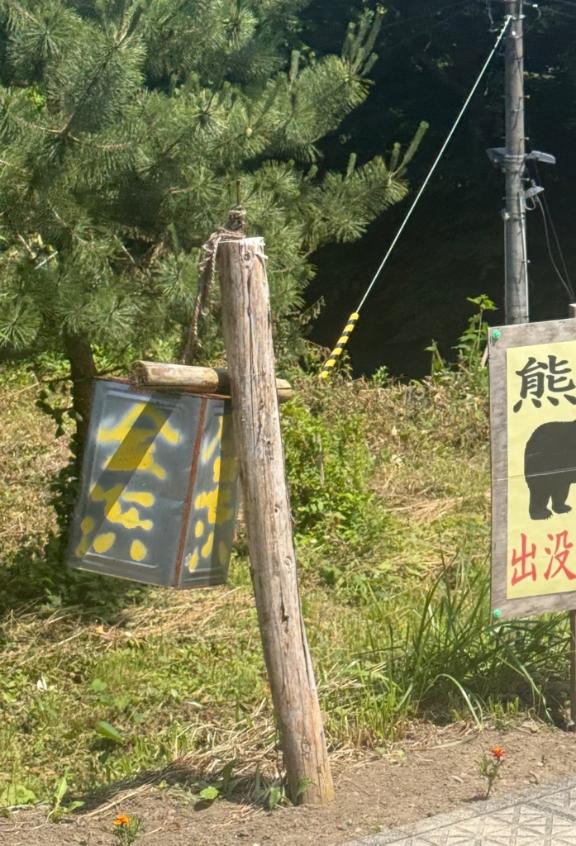 かねなし、、、？ん？