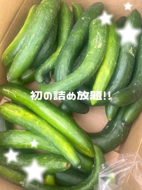 初挑戦！！🥕🥦🥒