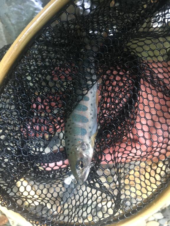 趣味だったり🎣✨