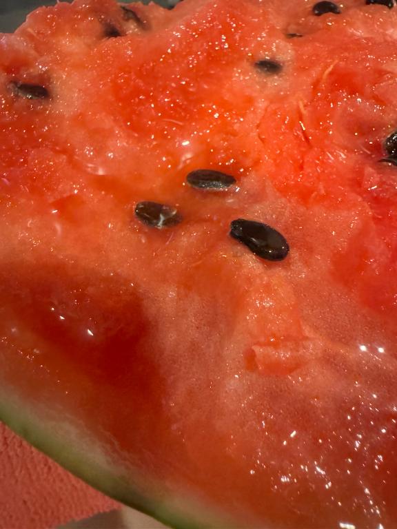 🍉🍉🍉🍉