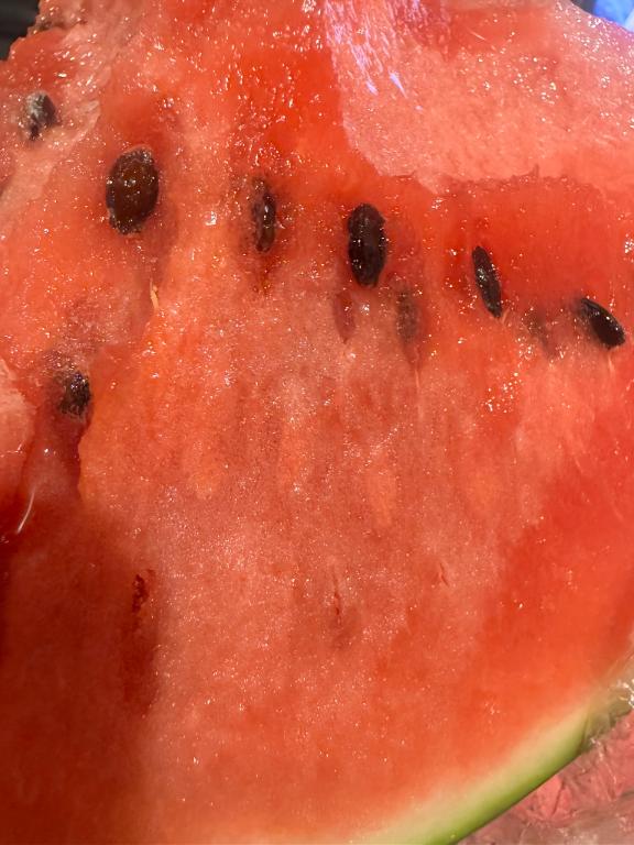 🍉🍉🍉🍉🍉🍉