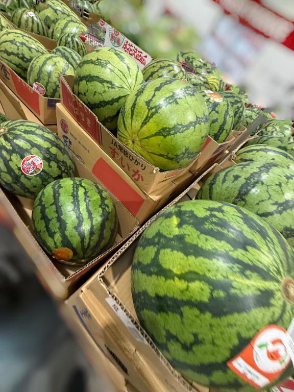 人混みはいやだけどね🍉