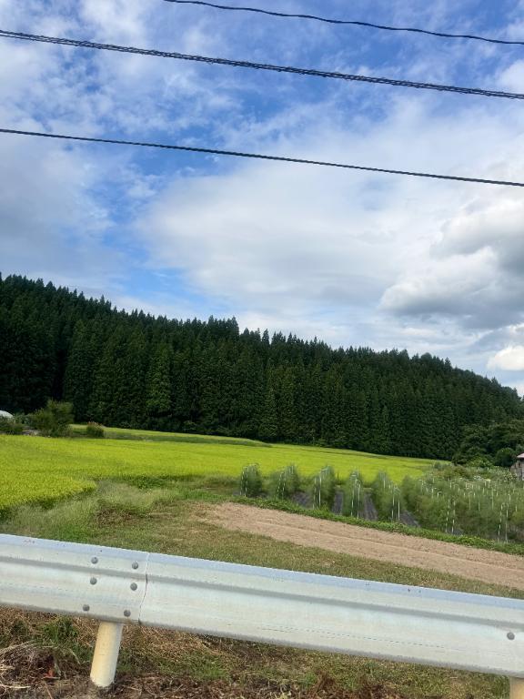 人いない