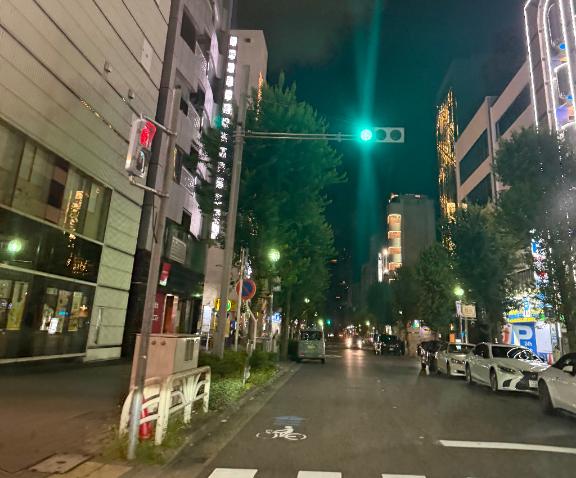 ここだけは通りたくない。笑