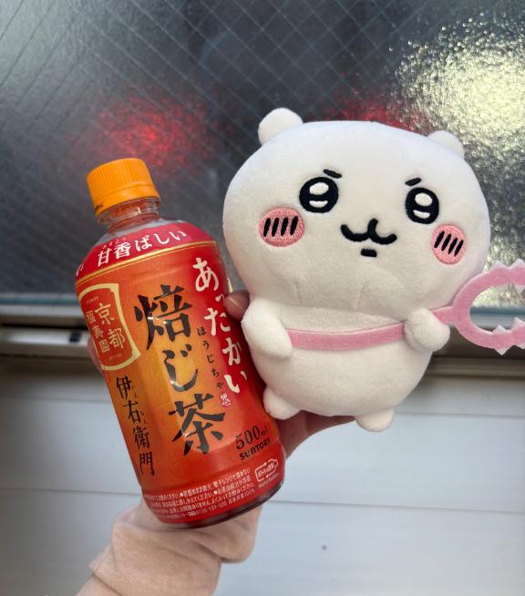 年中ホット🍵