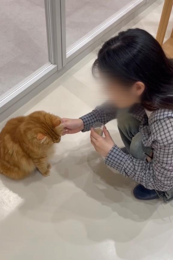 向かってます！