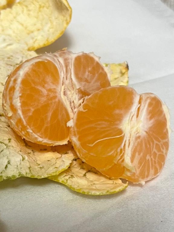 大量のみかん🍊