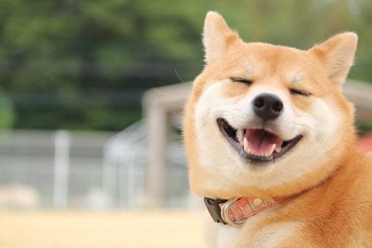 ひき子になっちゃうでしょ‼️🐕 ͗ ͗
