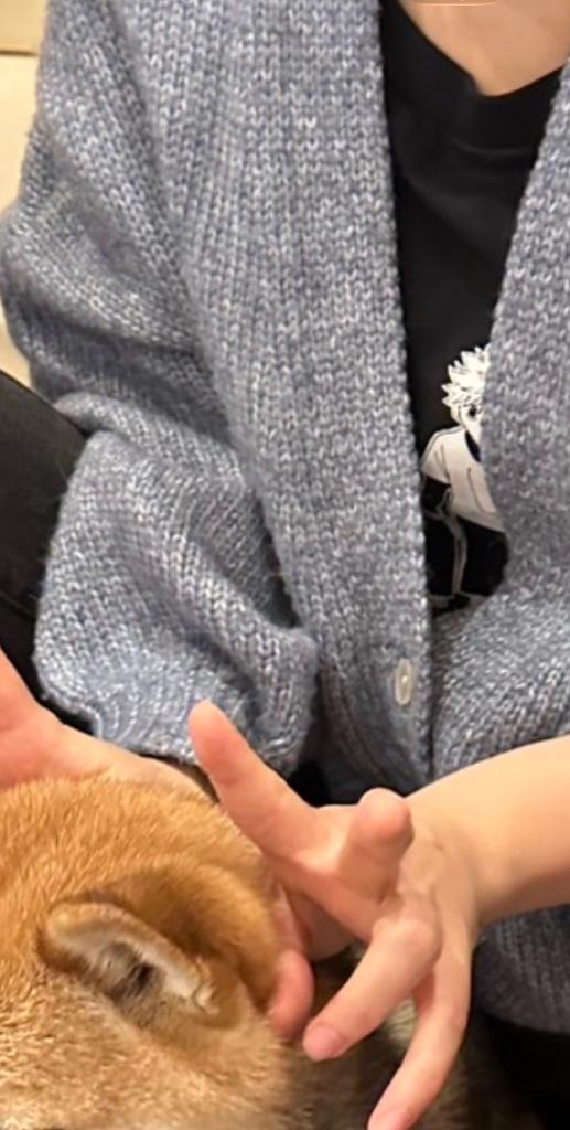 Bach犬OKにならんかな